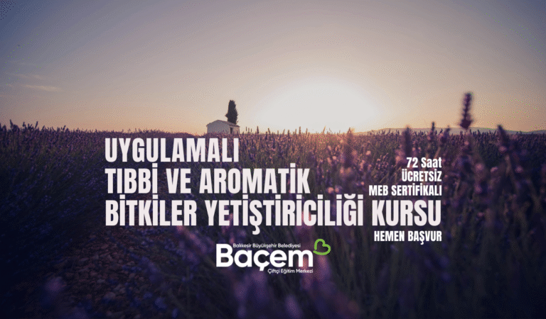 UYGULAMALI TIBBİ VE AROMATİK BİTKİLER YETİŞTİRİCİLİĞİ KURSU NEDİR, NASIL BAŞVURULUR? TÜM DETAYLAR BU REHBERDE!