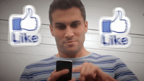 4.gif
